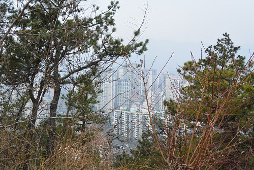 resize2211 写真: resize2211