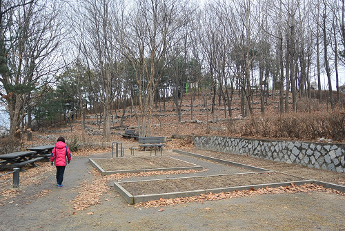 resize2212 写真: resize2212