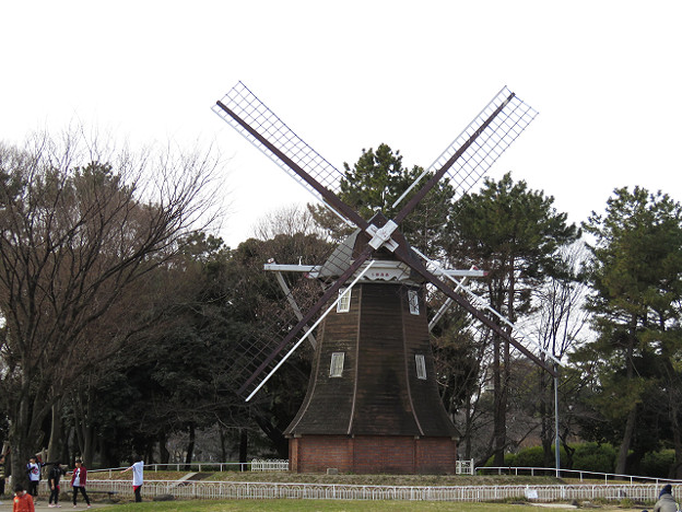 resize1316 写真: resize1316