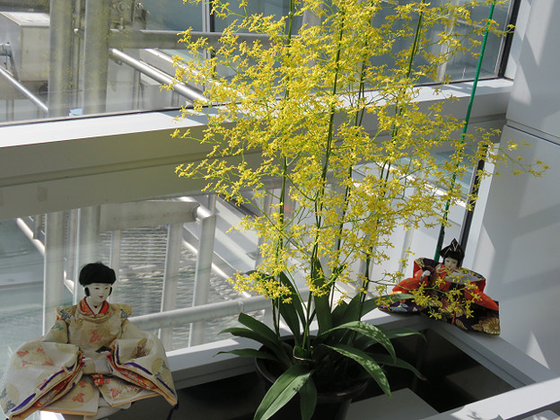 resize1376 写真: resize1376
