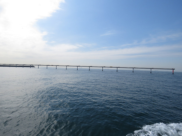 resize1449 写真: resize1449