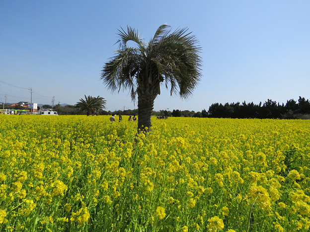 resize1729 写真: resize1729