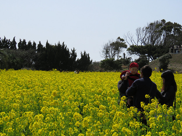 resize1743 写真: resize1743