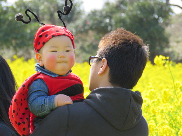 resize1745 写真: resize1745