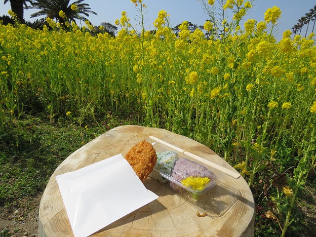 resize1752 写真: resize1752