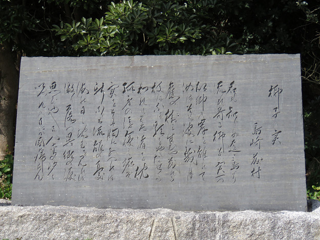 resize1793 写真: resize1793