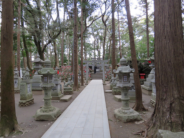 resize1823 写真: resize1823