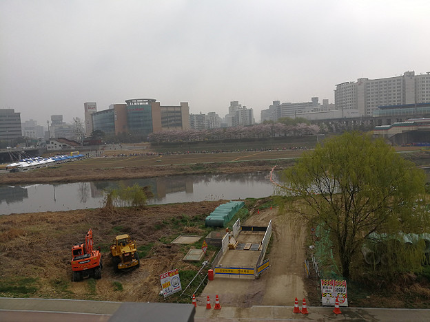 resize15814 写真: resize15814