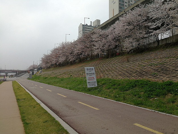 resize15816 写真: resize15816