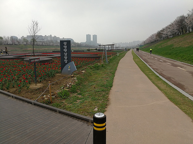 resize15819 写真: resize15819