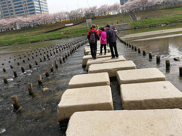 resize15829 写真: resize15829