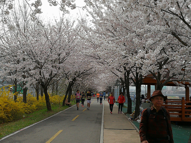 resize15834 写真: resize15834