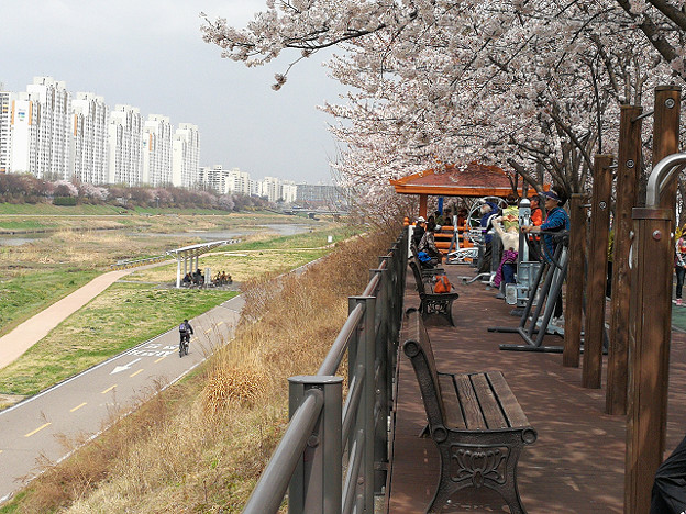 resize15841 写真: resize15841