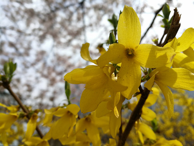 resize15843 写真: resize15843