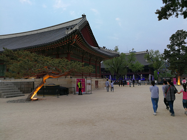 resize15969 写真: resize15969