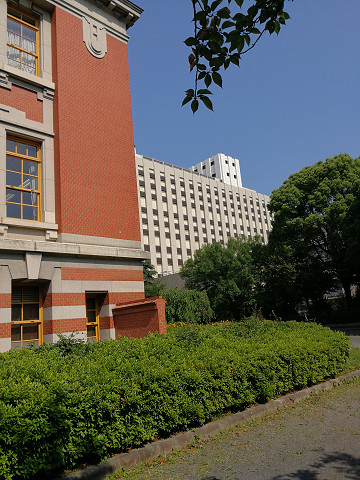 resize16334 写真: resize16334