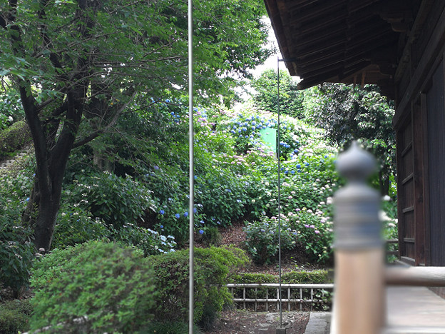 resize16363 写真: resize16363