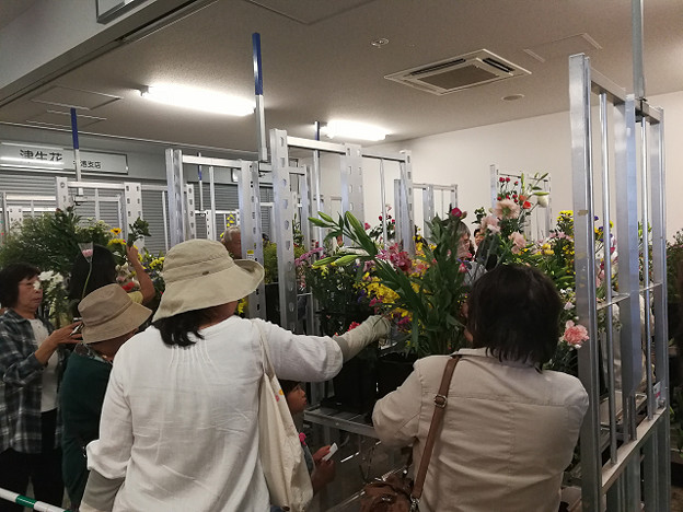 resize16553 写真: resize16553
