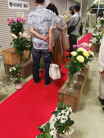 resize16566 写真: resize16566