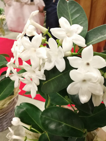 resize16568 写真: resize16568