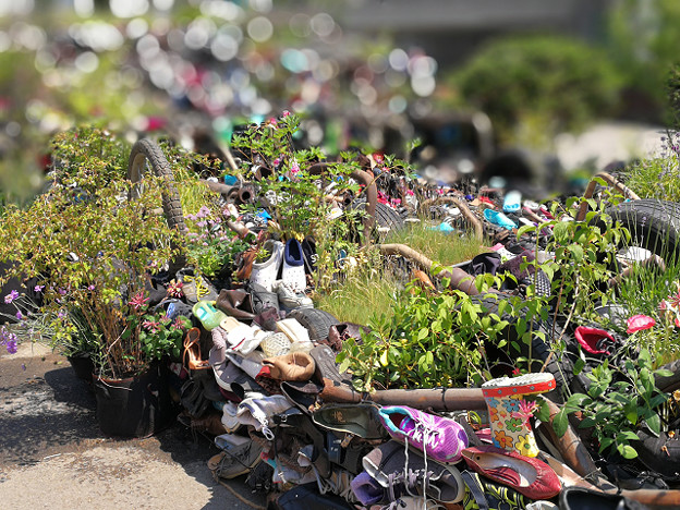 resize16482 写真: resize16482