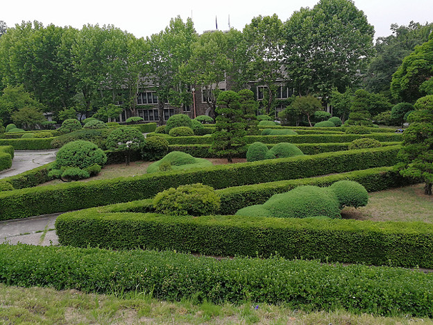 resize16656 写真: resize16656
