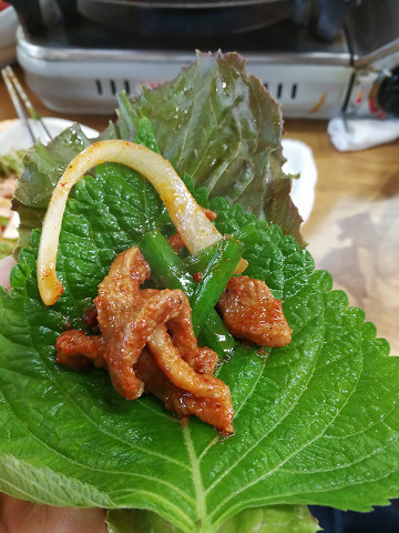resize16802 写真: resize16802