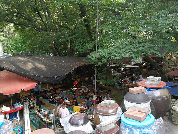 resize16815 写真: resize16815