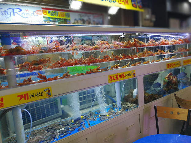 resize16896 写真: resize16896