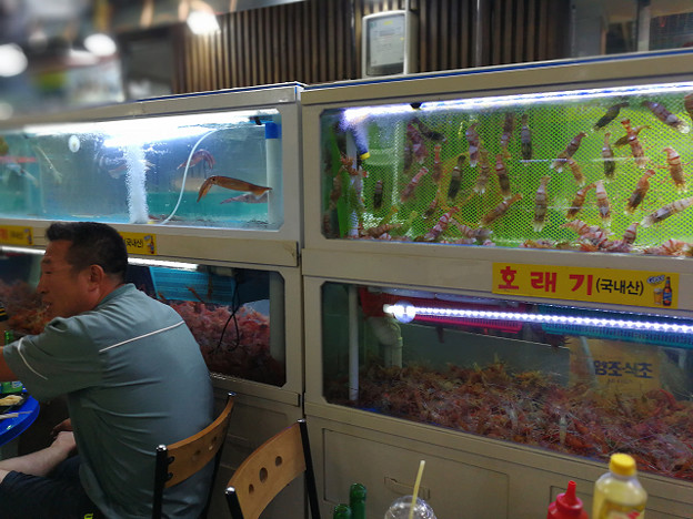 resize16897 写真: resize16897