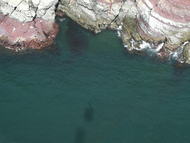 resize16998 写真: resize16998