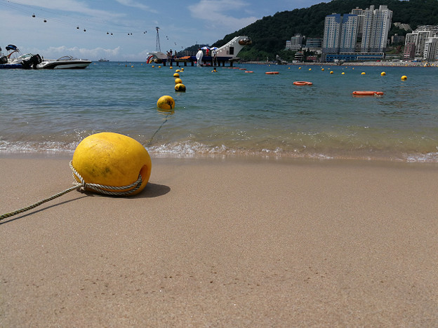 resize17027 写真: resize17027