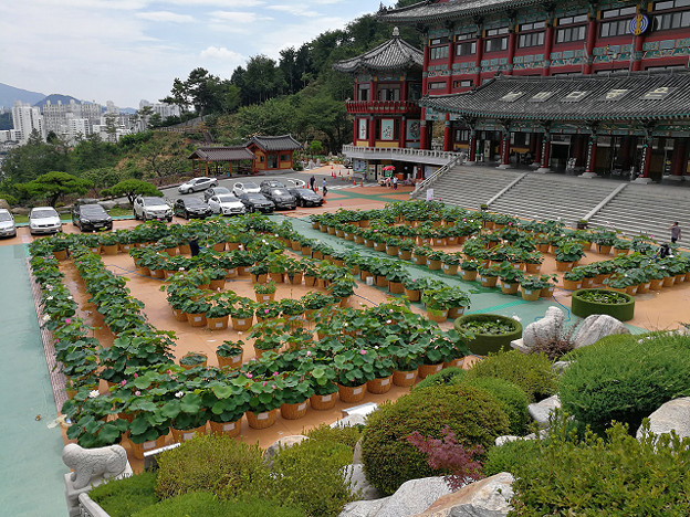 resize17231 写真: resize17231