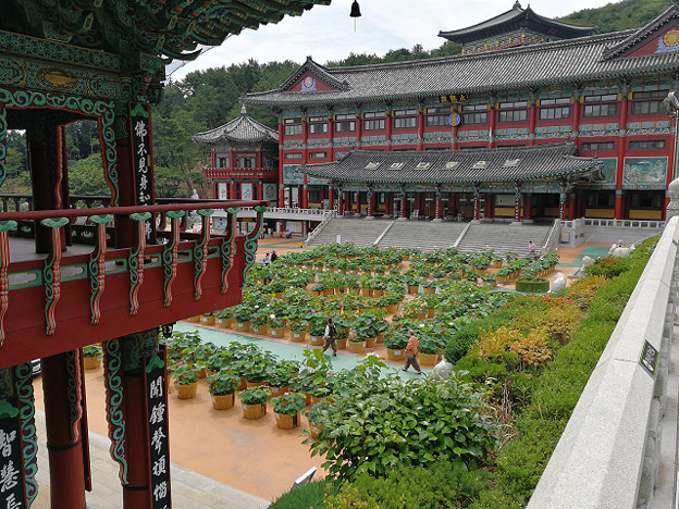 resize17235 写真: resize17235