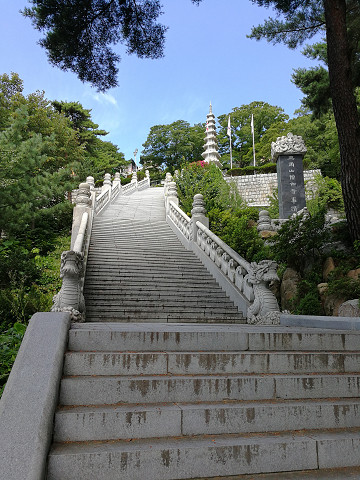 resize17445 写真: resize17445