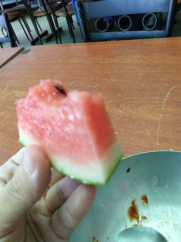 resize17460 写真: resize17460