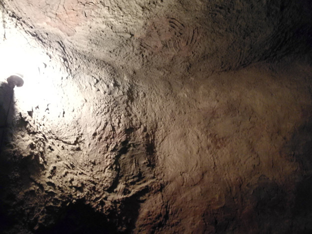 resize17541 写真: resize17541