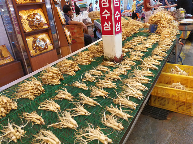 resize17804 写真: resize17804