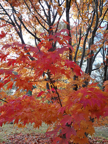resize18143 写真: resize18143
