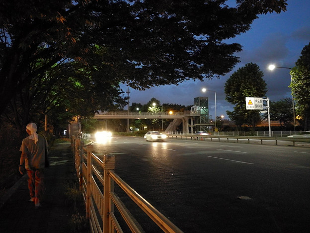 resize17822 写真: resize17822