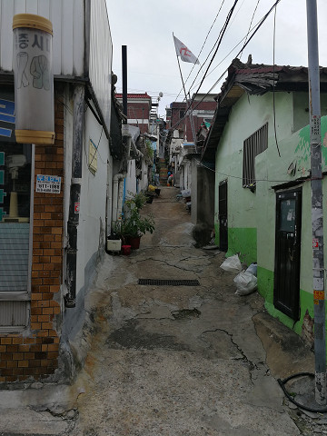 resize17873 写真: resize17873