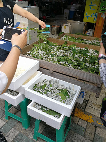 resize18300 写真: resize18300