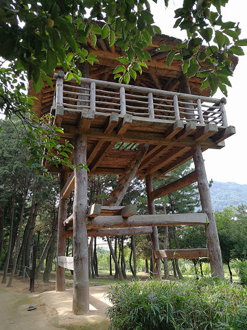 resize18369 写真: resize18369