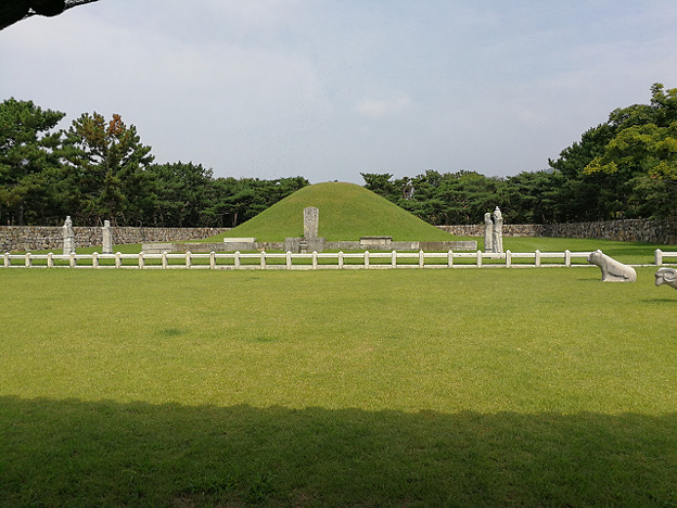 resize18385 写真: resize18385