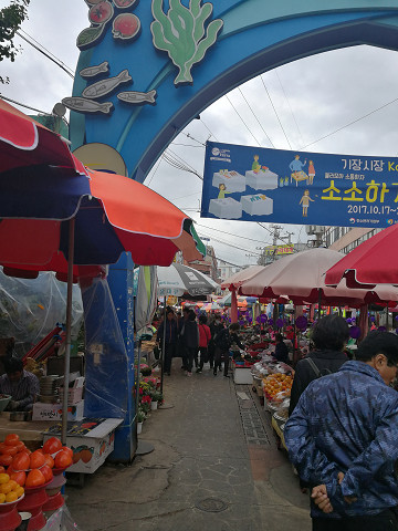 resize19513 写真: resize19513