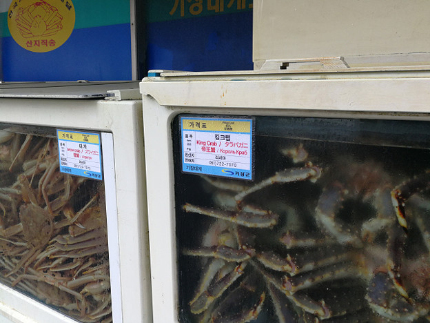 resize19521 写真: resize19521