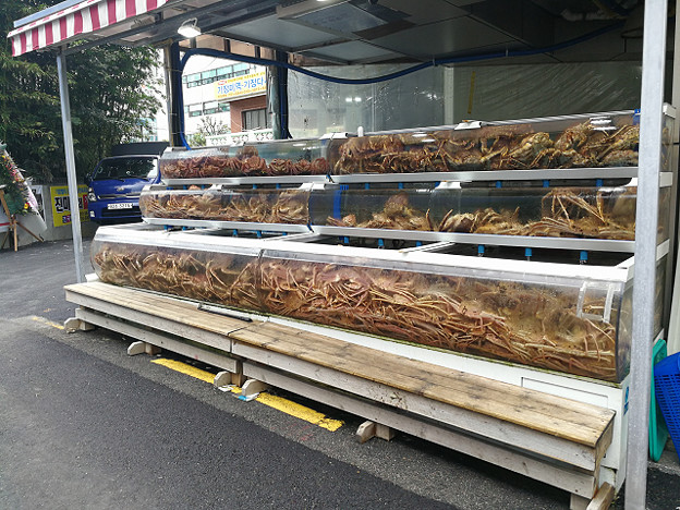 resize19522 写真: resize19522