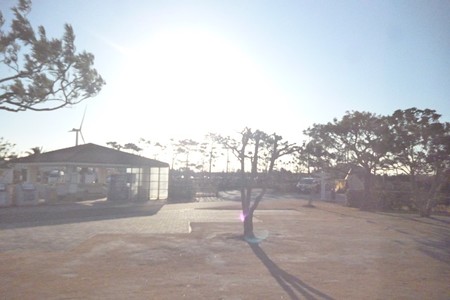 Ryuou20150124-034Site