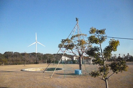 Ryuou20150124-048Tree
