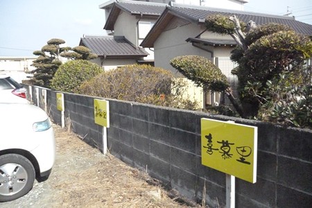 Ryuou20150124-089Kibori